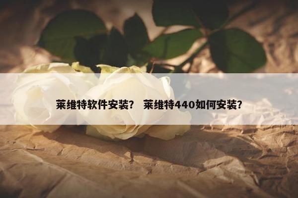 莱维特软件安装？ 莱维特440如何安装？