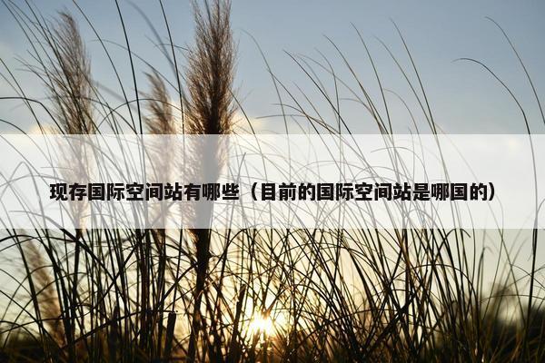 现存国际空间站有哪些（目前的国际空间站是哪国的）
