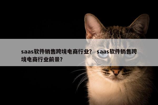 saas软件销售跨境电商行业？ saas软件销售跨境电商行业前景？