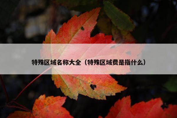 特殊区域名称大全（特殊区域费是指什么）