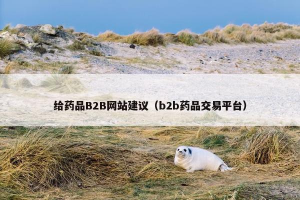 给药品B2B网站建议（b2b药品交易平台）