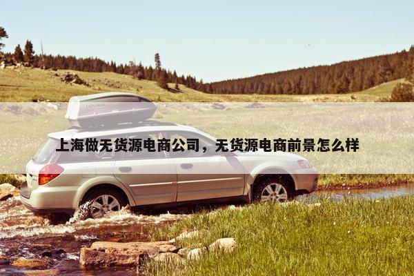 上海做无货源电商公司，无货源电商前景怎么样