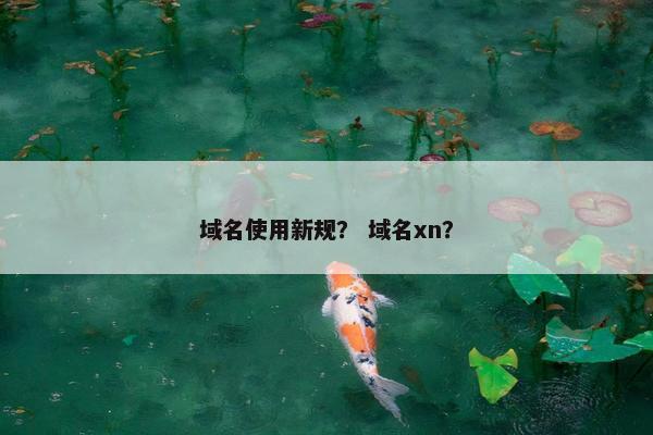 域名使用新规？ 域名xn？