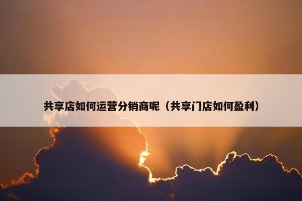 共享店如何运营分销商呢（共享门店如何盈利）