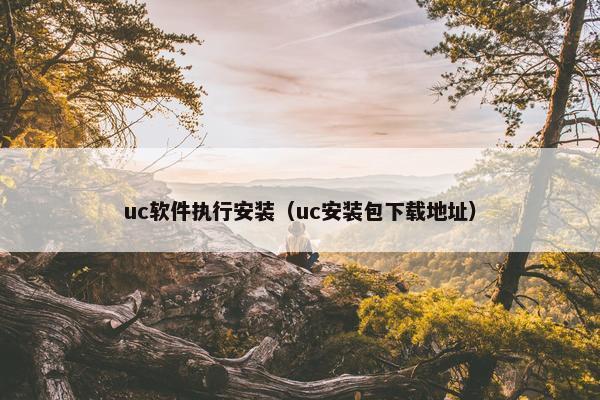 uc软件执行安装（uc安装包下载地址）