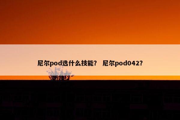尼尔pod选什么技能？ 尼尔pod042？