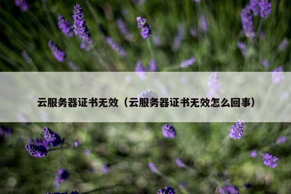 云服务器证书无效（云服务器证书无效怎么回事）