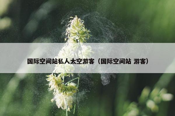 国际空间站私人太空游客（国际空间站 游客）