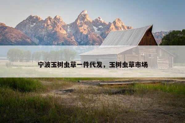 宁波玉树虫草一件代发，玉树虫草市场