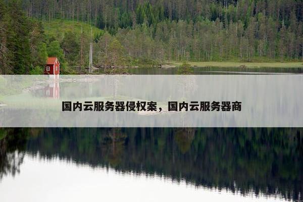 国内云服务器侵权案，国内云服务器商