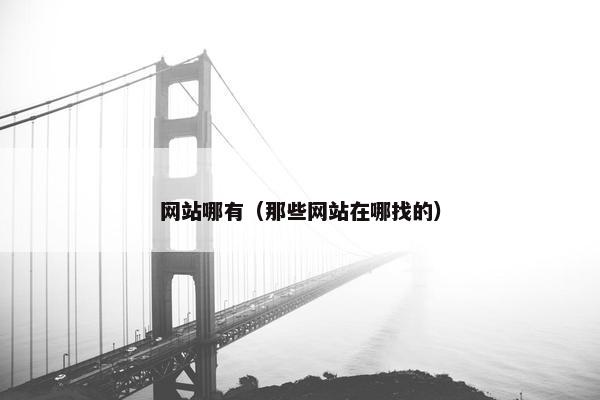 网站哪有（那些网站在哪找的）