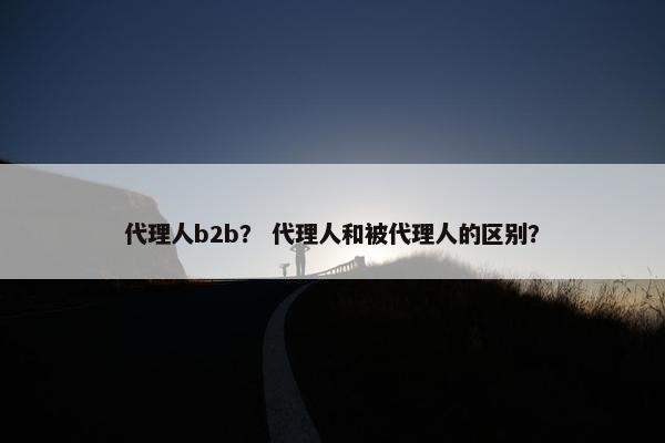 代理人b2b？ 代理人和被代理人的区别？