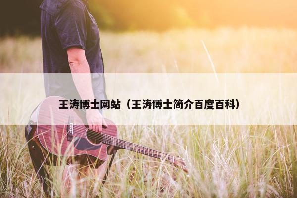 王涛博士网站（王涛博士简介百度百科）