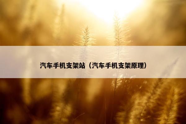 汽车手机支架站（汽车手机支架原理）