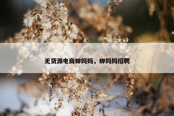无货源电商蝉妈妈，蝉妈妈招聘