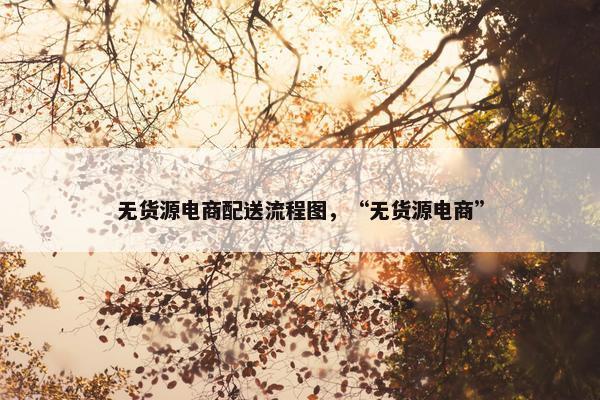 无货源电商配送流程图，“无货源电商”