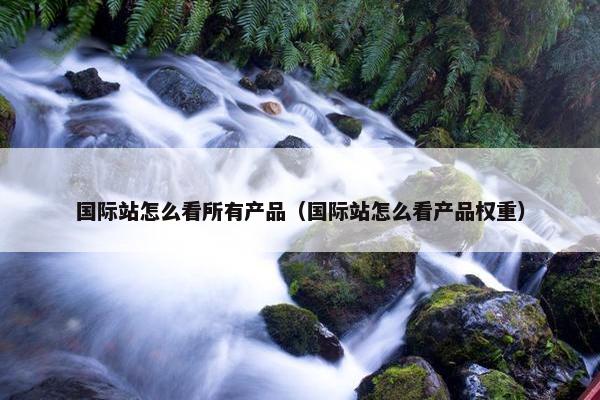 国际站怎么看所有产品（国际站怎么看产品权重）