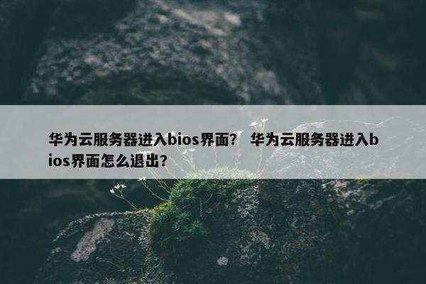 华为云服务器进入bios界面？ 华为云服务器进入bios界面怎么退出？