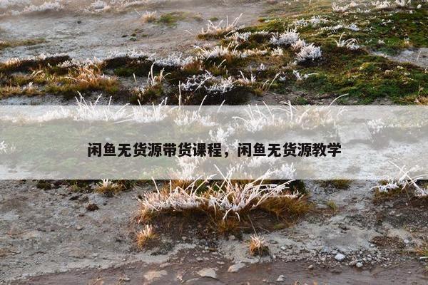闲鱼无货源带货课程，闲鱼无货源教学