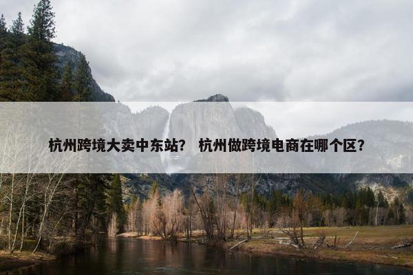 杭州跨境大卖中东站？ 杭州做跨境电商在哪个区？