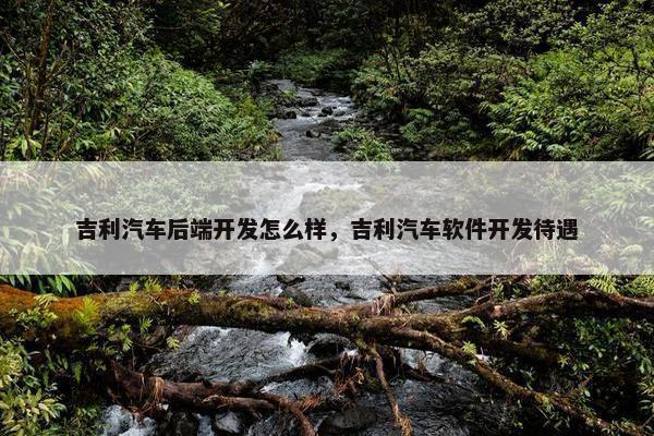 吉利汽车后端开发怎么样，吉利汽车软件开发待遇
