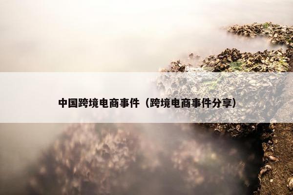 中国跨境电商事件（跨境电商事件分享）