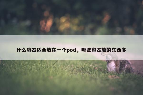 什么容器适合放在一个pod，哪些容器放的东西多