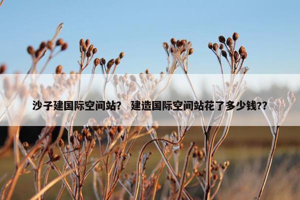 沙子建国际空间站？ 建造国际空间站花了多少钱?？