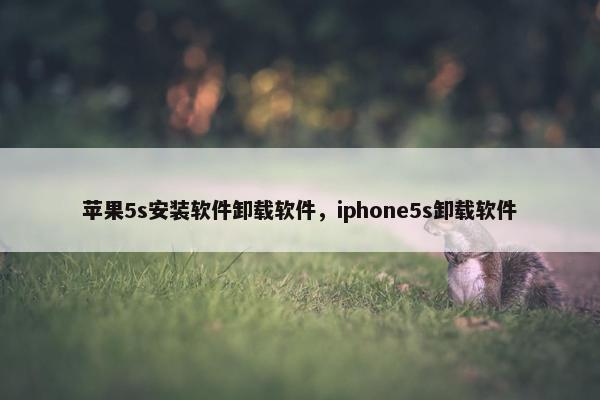 苹果5s安装软件卸载软件，iphone5s卸载软件