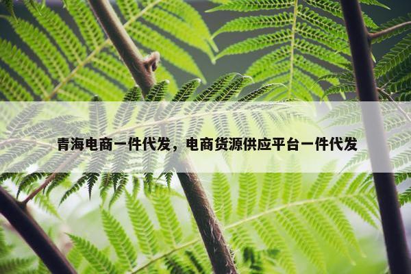 青海电商一件代发，电商货源供应平台一件代发
