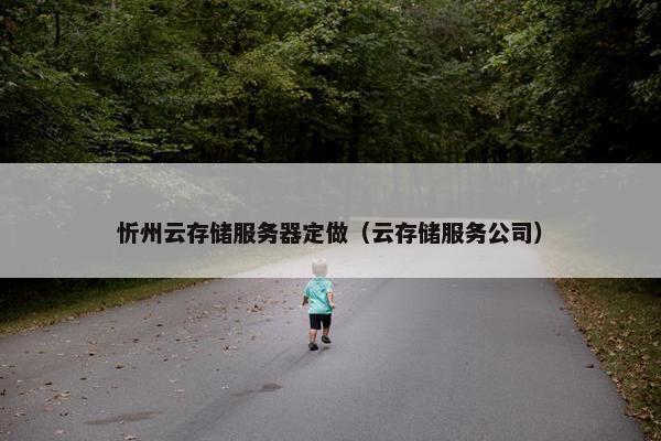 忻州云存储服务器定做（云存储服务公司）