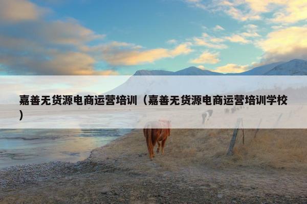嘉善无货源电商运营培训（嘉善无货源电商运营培训学校）