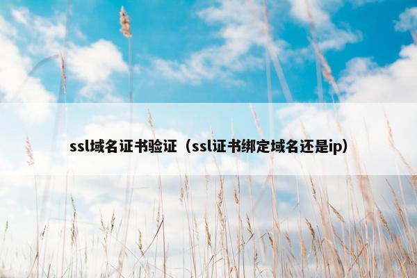 ssl域名证书验证（ssl证书绑定域名还是ip）