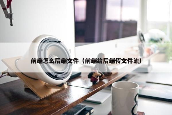 前端怎么后端文件（前端给后端传文件流）