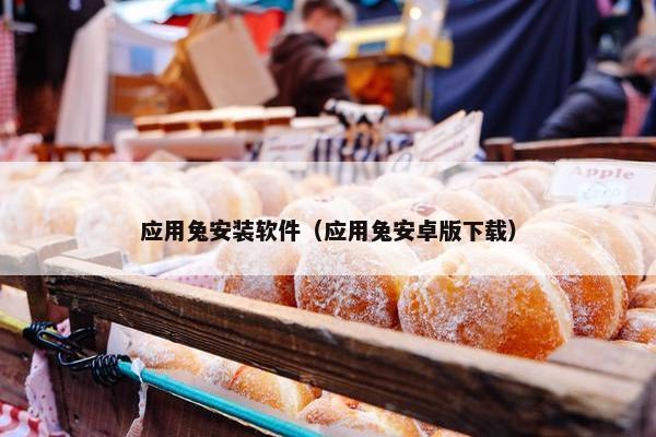 应用兔安装软件（应用兔安卓版下载）