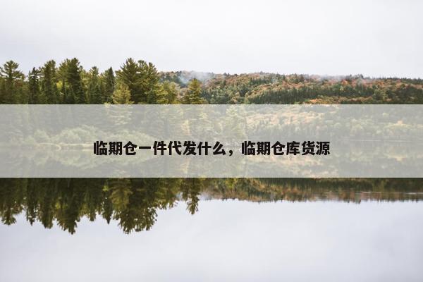 临期仓一件代发什么，临期仓库货源