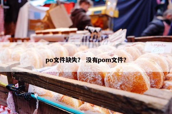 po文件缺失？ 没有pom文件？