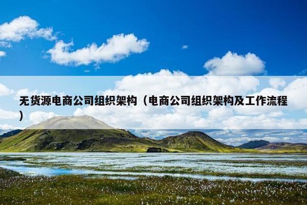 无货源电商公司组织架构（电商公司组织架构及工作流程）