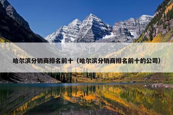 哈尔滨分销商排名前十（哈尔滨分销商排名前十的公司）