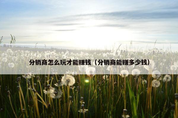 分销商怎么玩才能赚钱（分销商能赚多少钱）