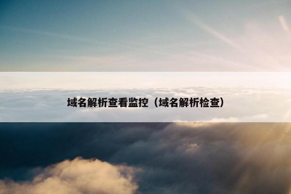 域名解析查看监控（域名解析检查）