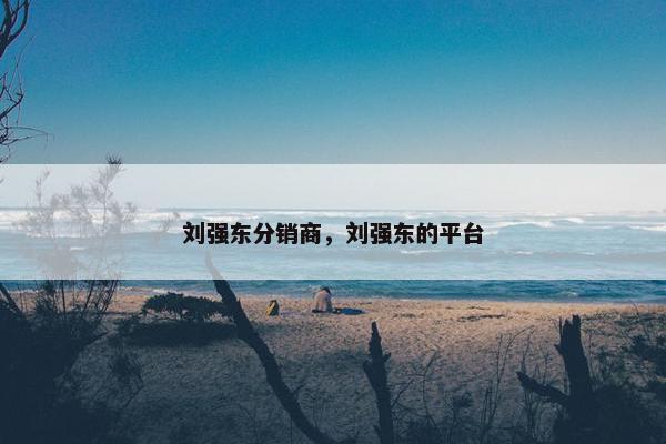 刘强东分销商，刘强东的平台