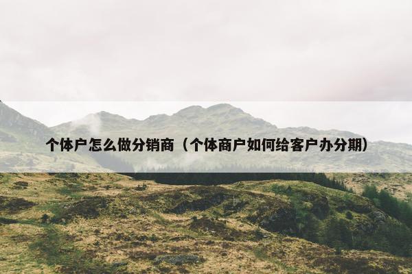 个体户怎么做分销商（个体商户如何给客户办分期）