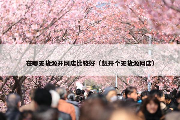 在哪无货源开网店比较好（想开个无货源网店）