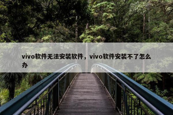 vivo软件无法安装软件，vivo软件安装不了怎么办