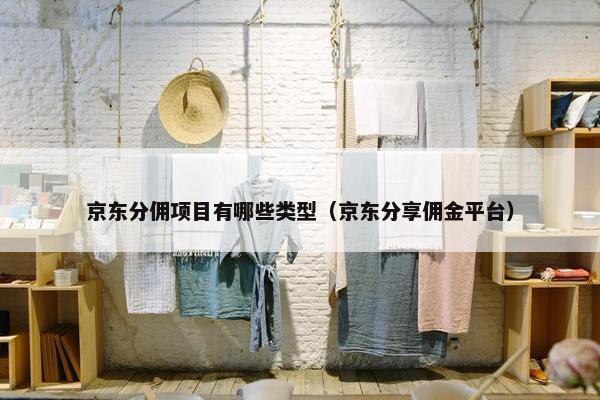 京东分佣项目有哪些类型（京东分享佣金平台）