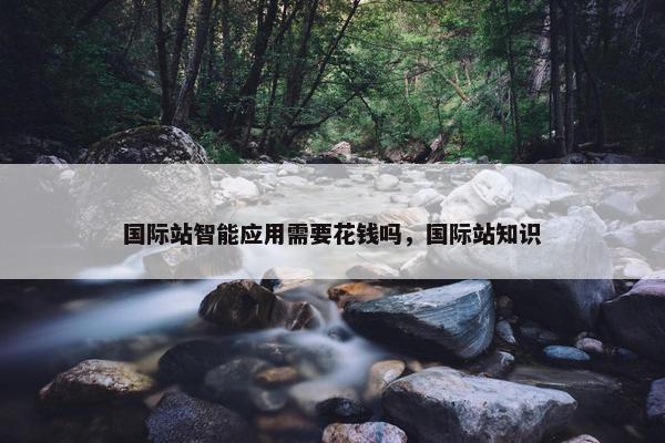 国际站智能应用需要花钱吗，国际站知识