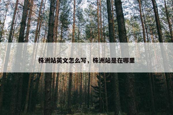 株洲站英文怎么写，株洲站是在哪里