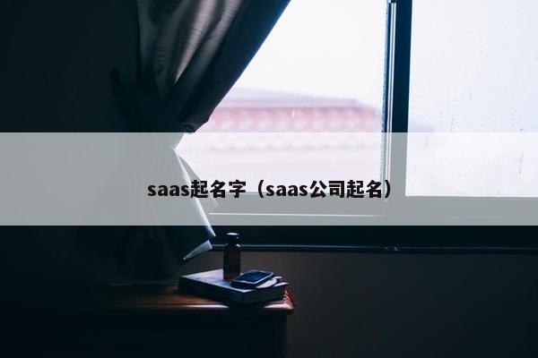 saas起名字（saas公司起名）