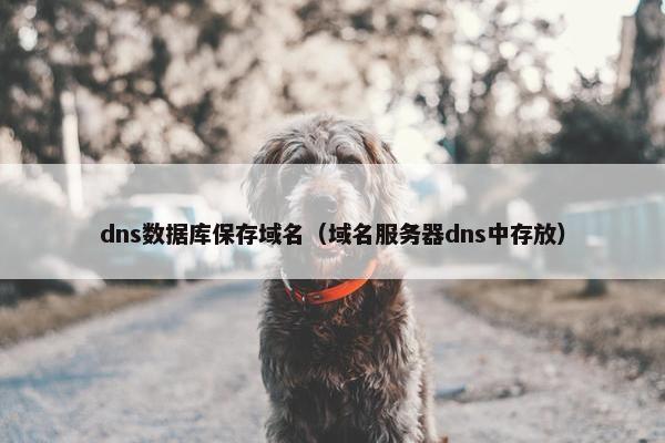 dns数据库保存域名（域名服务器dns中存放）